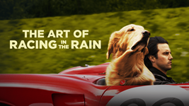 The Art of Racing in the Rain