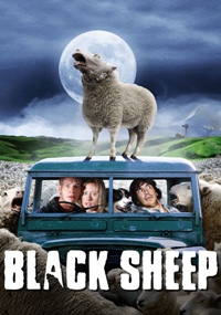 Black Sheep