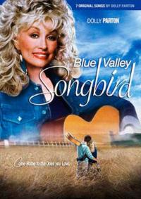 Blue Valley Songbird