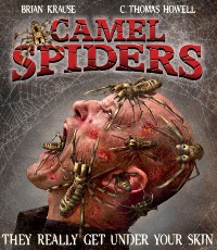 Camel Spiders