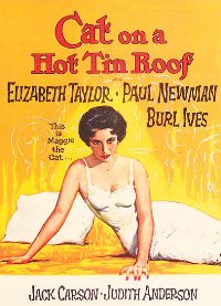 Cat On A Hot Tin Roof