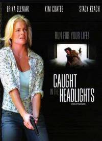 Caught In The Headlights