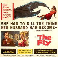The Fly