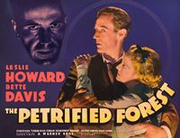 The Petrified Forest