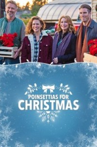 Poinsettias For Christmas