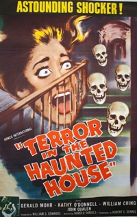 Terror In The Haunted House